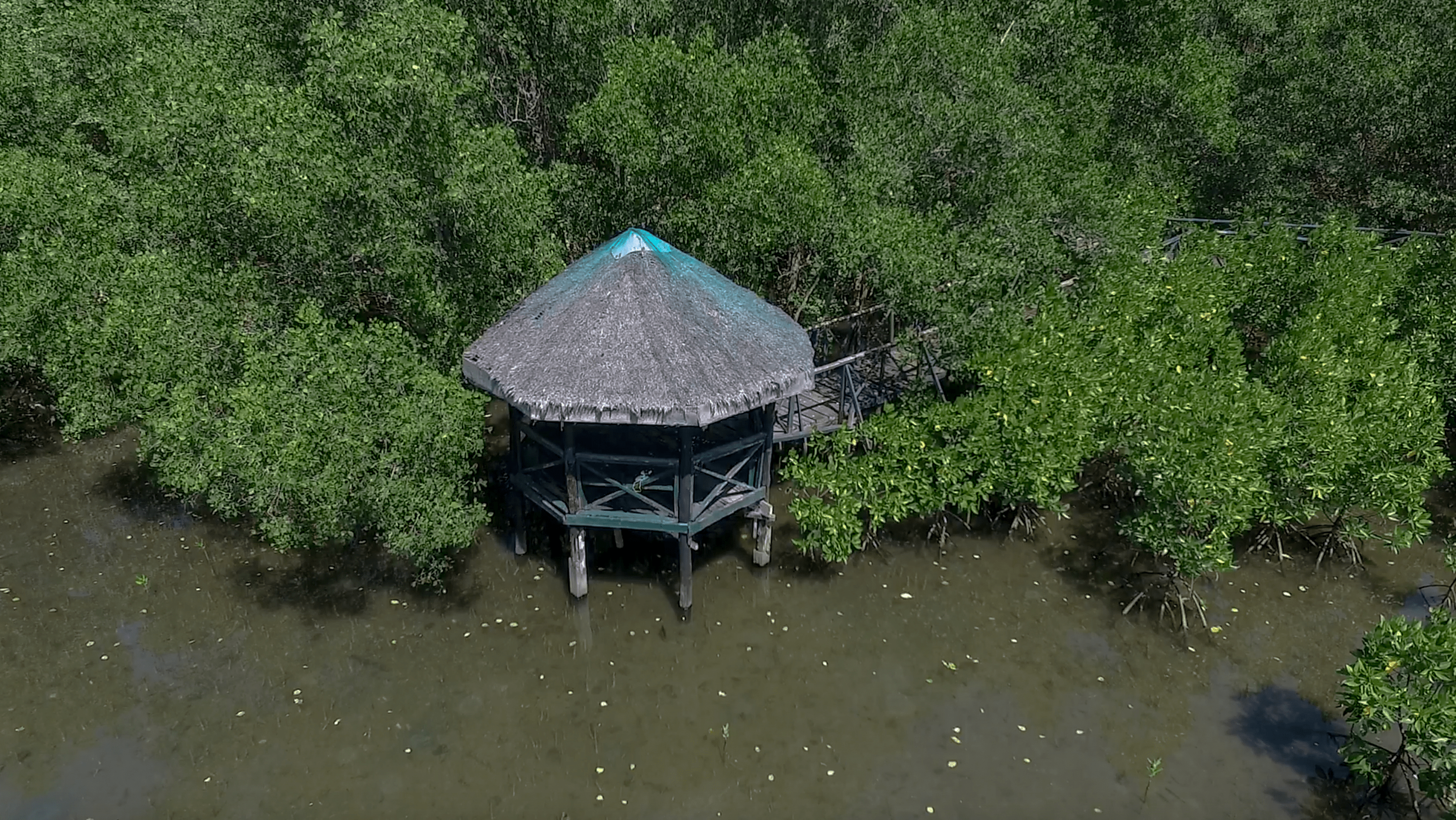 little hut at triboa bay mangrove park in subic zambales philippines